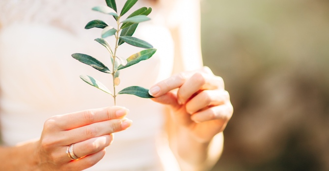 Counselling/Counseling