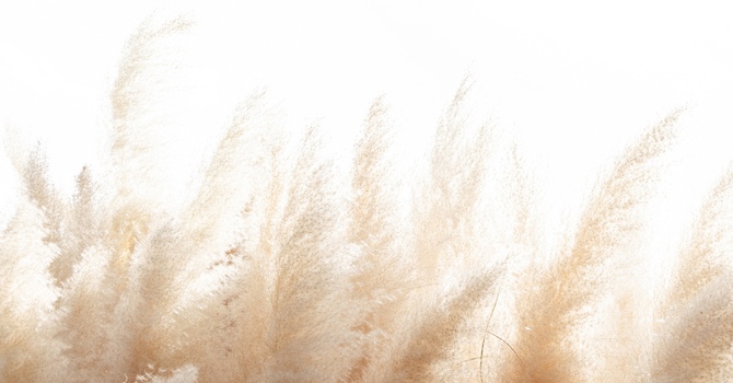 Merci de votre intérêt,  pratique actuellement complète image